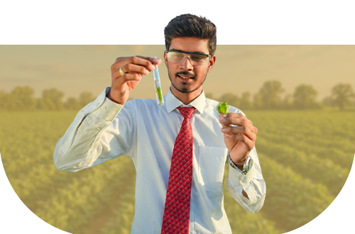 B.Sc Agriculture